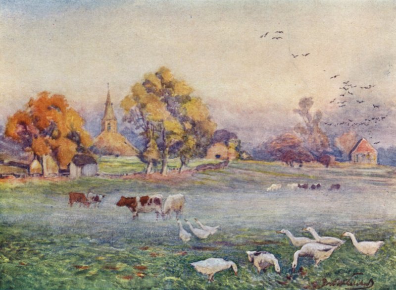 Os campos da abadia, Kenilworth de Frederick William Newton Whitehead