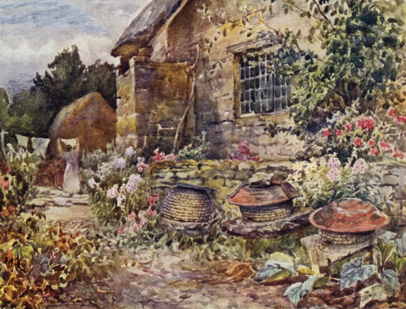 Winderton de Frederick William Newton Whitehead