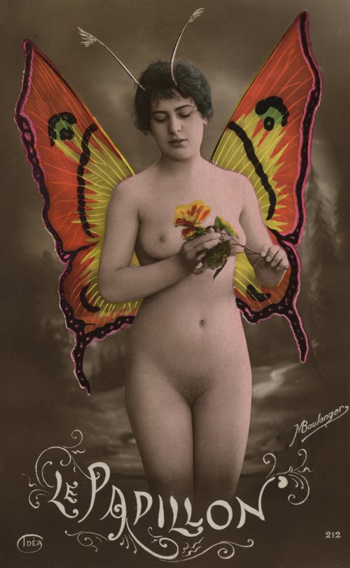 A borboleta de French Photographer