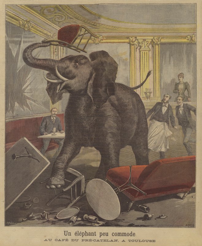 Um elefante em fúria em um café de Toulouse de French School