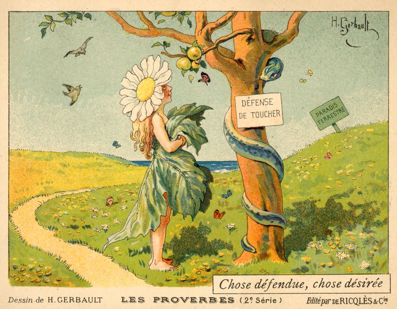 Coisa proibida, coisa desejada de French School