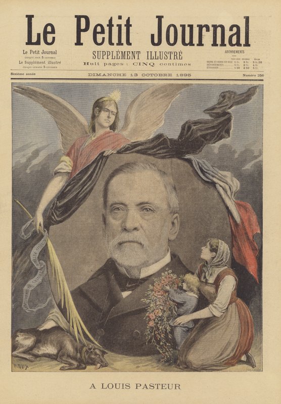 Para Louis Pasteur de French School