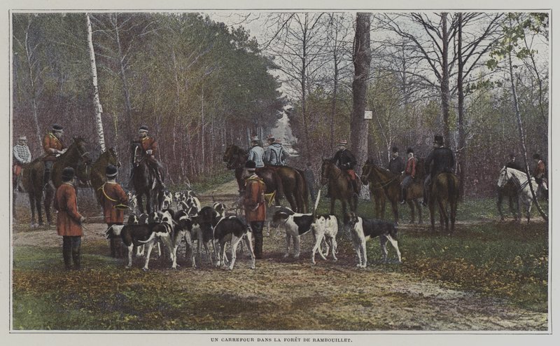 Uma encruzilhada no Foret de Rambouillet, França (foto a cores) de French Photographer