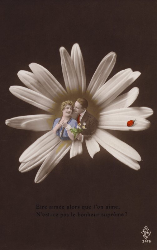 Um jovem casal no centro de uma flor com joaninha (fotocolagem matizada) de French Photographer