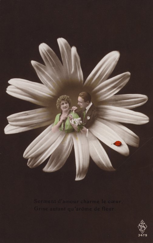 Um jovem casal no centro de uma flor com joaninha (fotocolagem matizada) de French Photographer
