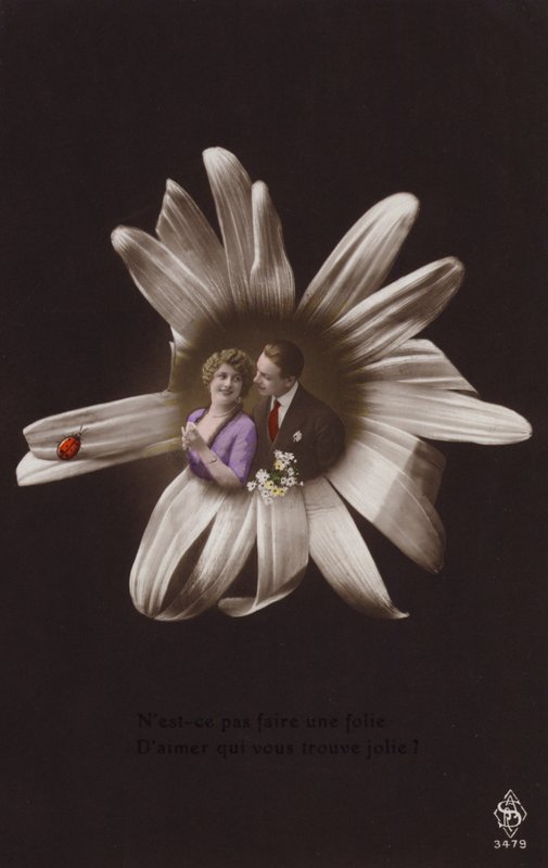 Um jovem casal no centro de uma flor com joaninha (fotocolagem matizada) de French Photographer