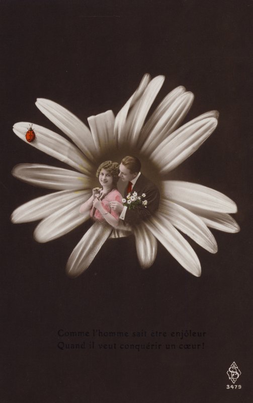 Um jovem casal no centro de uma flor com joaninha (fotocolagem matizada) de French Photographer