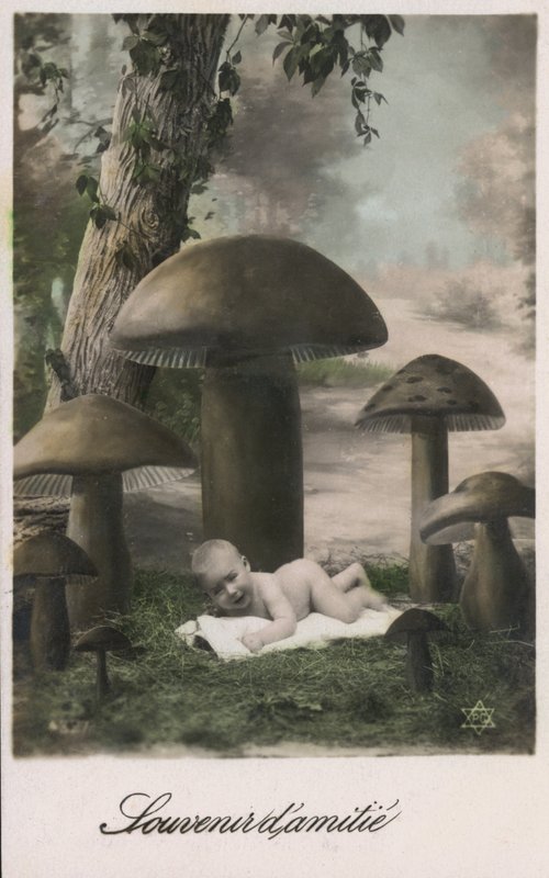 Bebê em um remendo de cogumelo de French Photographer