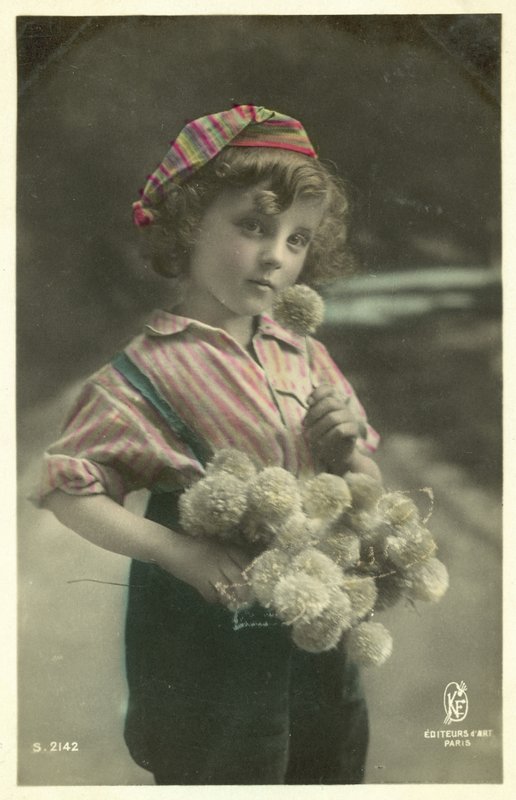 Criança, com, um, grupo flores de French Photographer