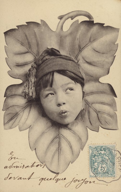 Face de um menino no centro de uma folha (photocollage) de French Photographer