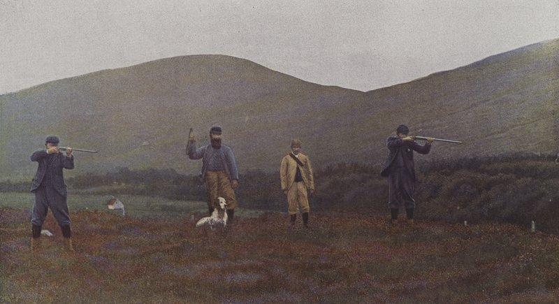 Tiroteio Grouse na Escócia (foto a cores) de French Photographer