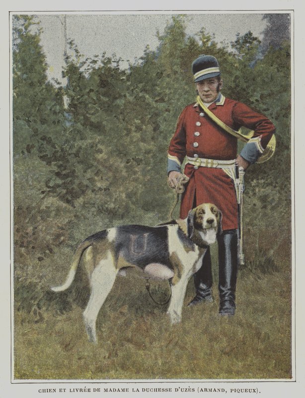 Caçador e caçador na cavalariça da Duquesa de Uzes, França (foto a cores) de French Photographer