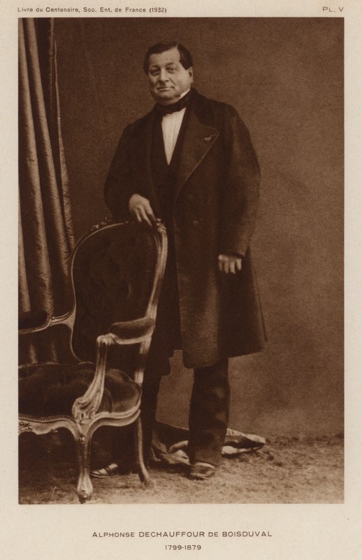 Jean Baptiste Boisduval, lepidóptero e botânico francês (foto a p/b) de French Photographer