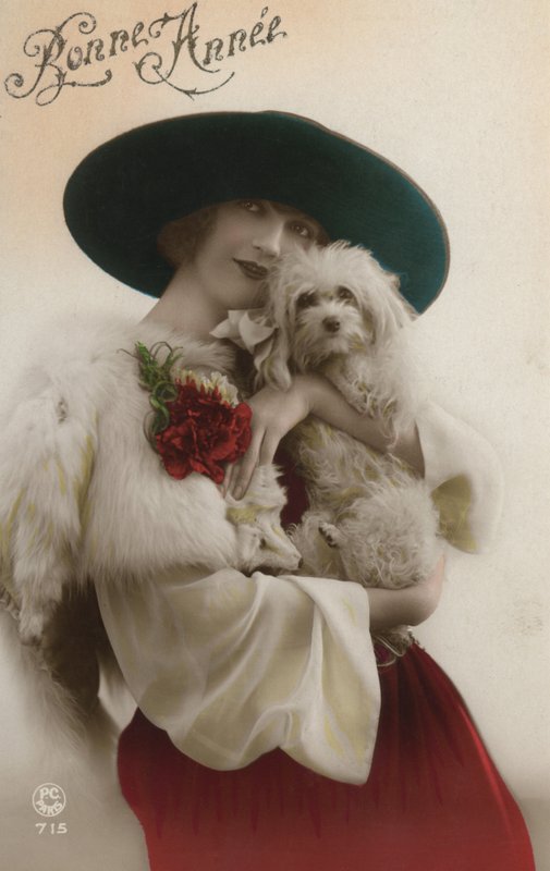 Senhora, segurando, um, cachorro pequeno de French Photographer