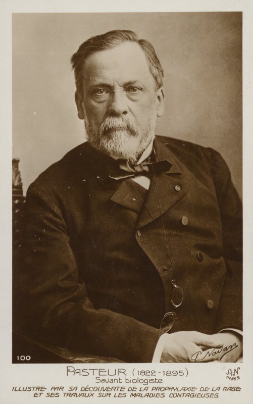 Louis Pasteur (1822-1895), químico e microbiologista francês de French Photographer