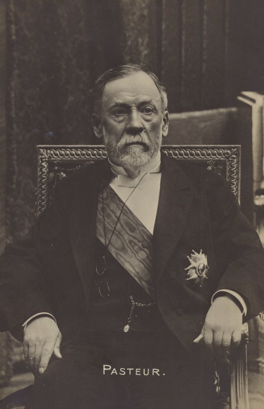 Louis Pasteur (1822-1895), químico e microbiologista francês de French Photographer