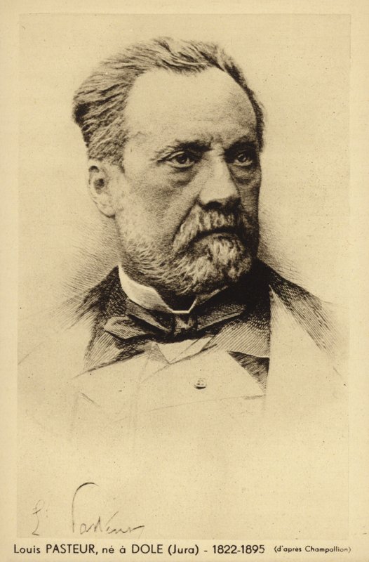 Louis Pasteur (1822-1895), químico e microbiologista francês de French Photographer