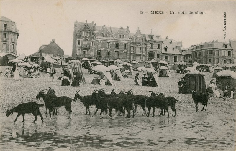 Mers - uma parte da praia. Postal enviado em 1913. de French Photographer
