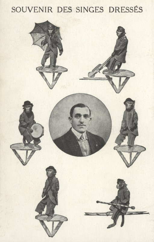 Macacos em traje de French Photographer