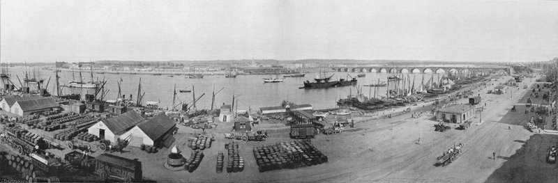 Panorama do Rade e da Ponte de Bordeaux, Vista da Alfândega (foto a p/b) de French Photographer
