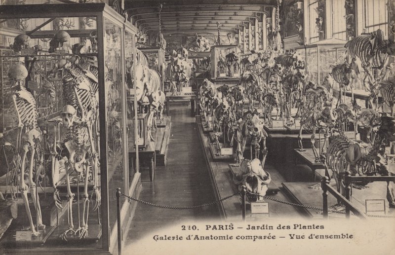 Paris, Jardin des Plantes de French Photographer