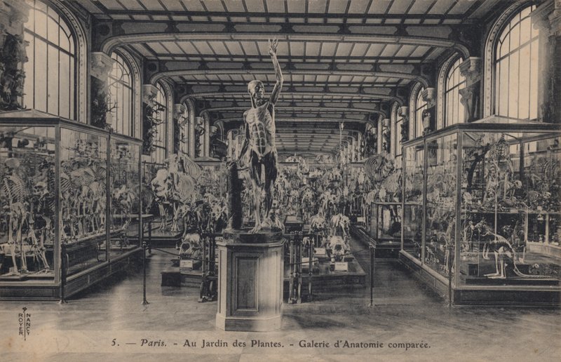 Paris, Jardin des Plantes de French Photographer