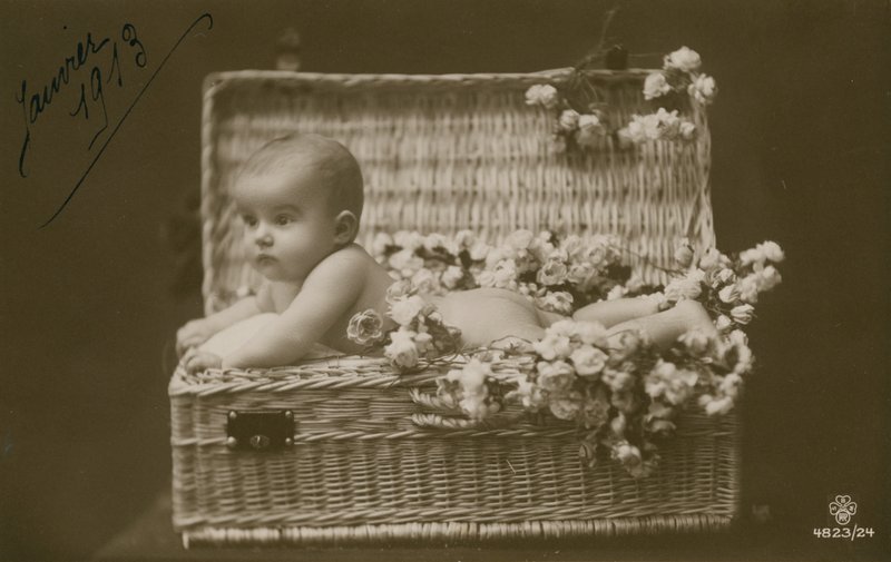 Postal de um bebê em uma cesta de vime com flores, enviada em janeiro de 1913 de French Photographer