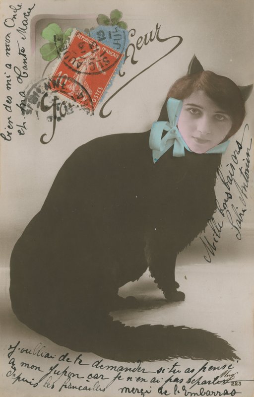 Cartão postal de um gato com um rosto de mulher, enviado em 1913 de French Photographer
