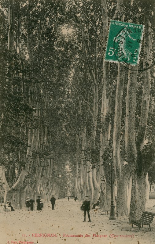 Promenade des Platanes em Perpignan. Postal enviado em 1913. de French Photographer