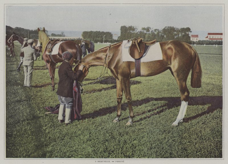 Racehorses em Deauville, França (foto a cores) de French Photographer