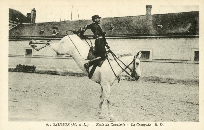 Saumur (Maine-et-Loire), Escola de Cavalaria, La Croupade de French Photographer