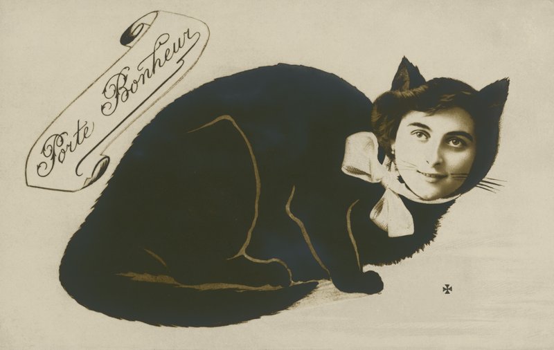 Gato surreal, com cara de menina bonita (foto a p/b) de French Photographer