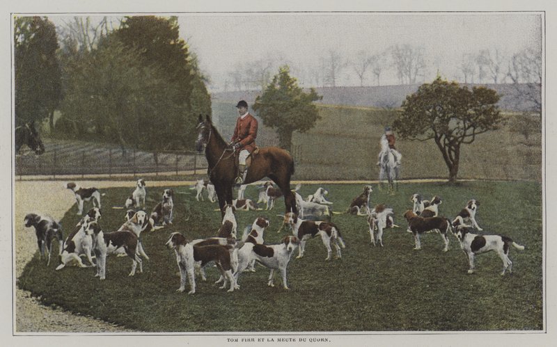 Tom Firr e os cães de caça de Quorn Hunt, Leicestershire (foto a cores) de French Photographer