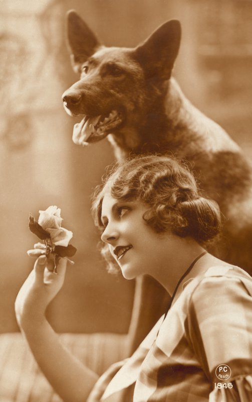 Mulher, com, dela, cão de French Photographer