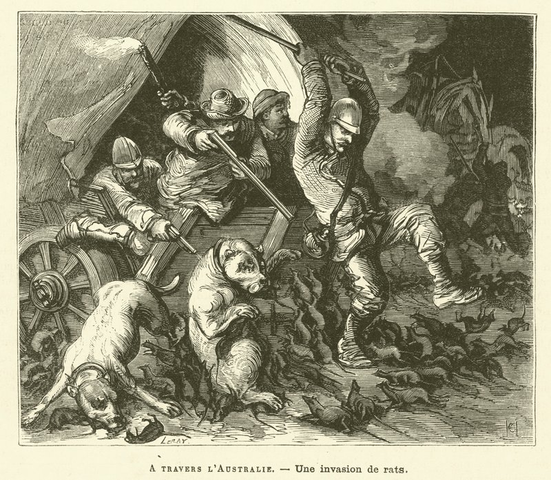 Através da Austrália (gravura) de French School