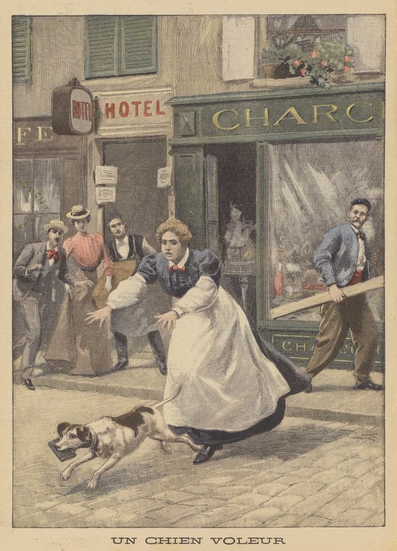 Um ladrão canino (cor litho) de French School