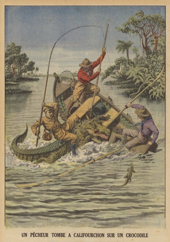 Um pescador a cair ao lado de um crocodilo depois de este virar o seu barco (cor litho) de French School