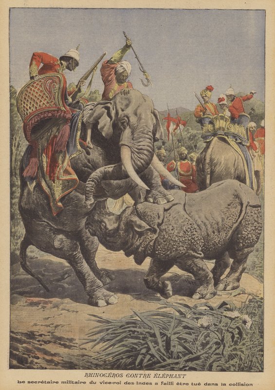 Um rinoceronte que ataca um elefante na Índia (cor litho) de French School