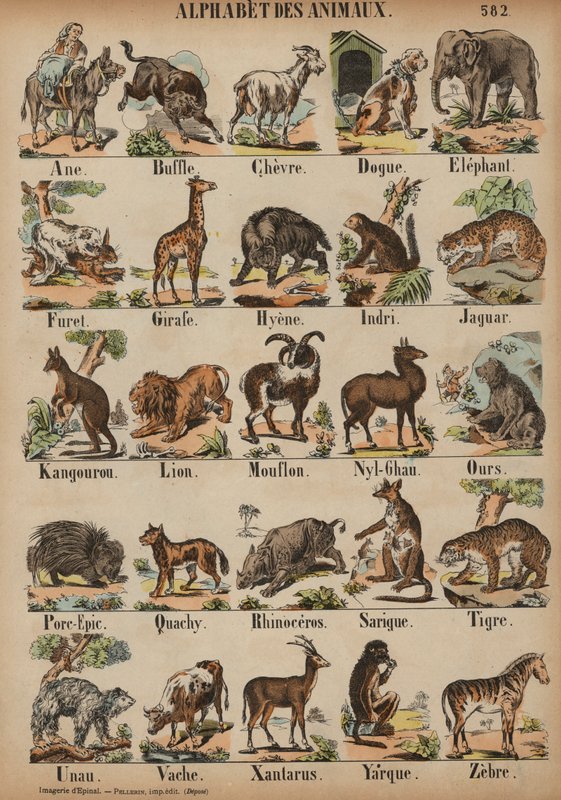 A a Z de animais (gravura colorida) de French School