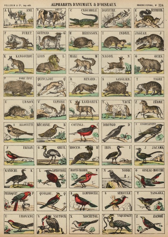A a Z de animais e pássaros de French School
