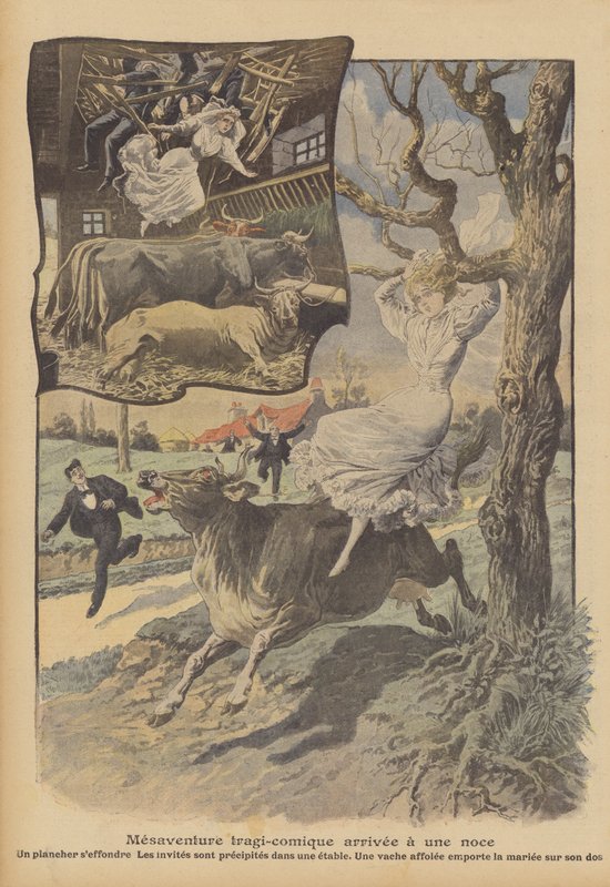 Uma desventura tragicómica do casamento (cor litho) de French School