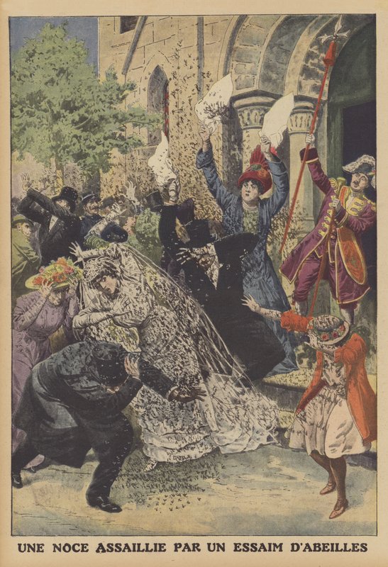 Um casamento assaltado por um enxame de abelhas (cor litho) de French School