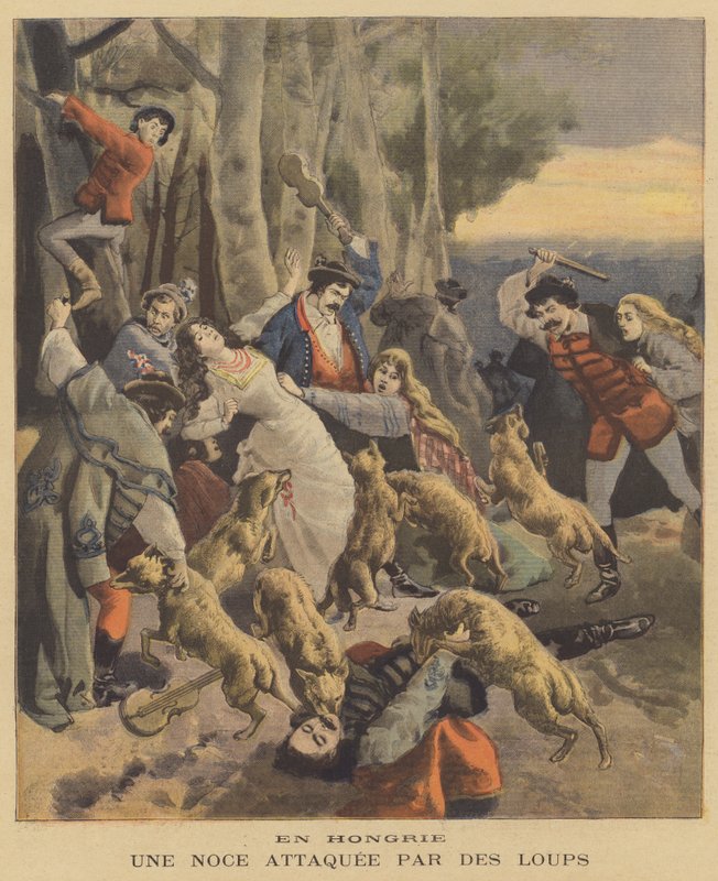 Um casamento na Hungria atacado por lobos de French School