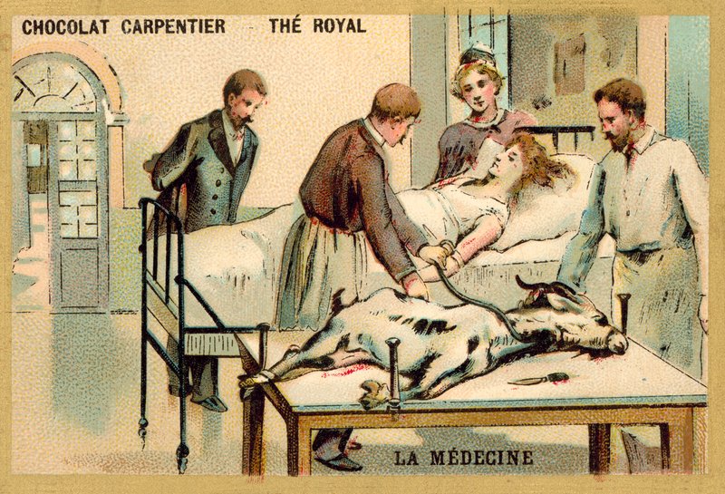 Uma mulher que recebe uma transfusão de sangue de uma cabra (chromolitho) de French School