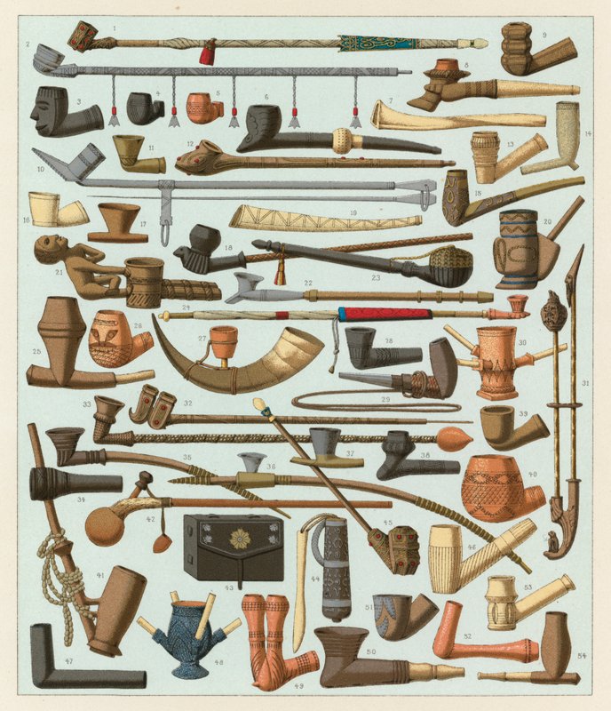 Fantasia de África de French School