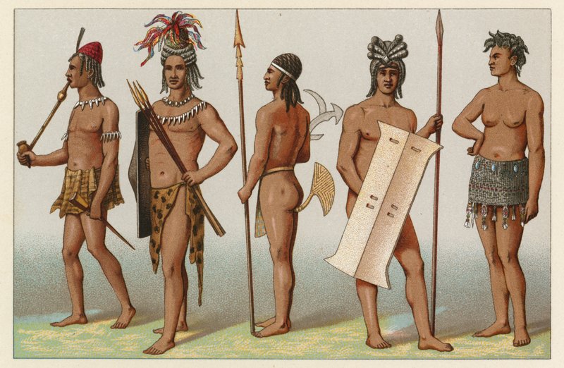 Fantasia de África de French School