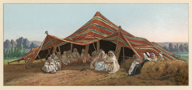 Fantasia de África de French School