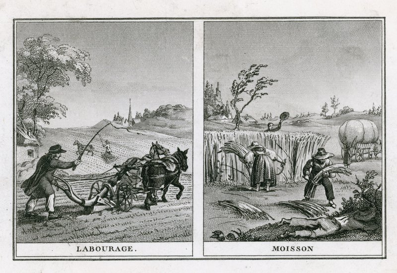 Cenas agrícolas de arar e colher de French School