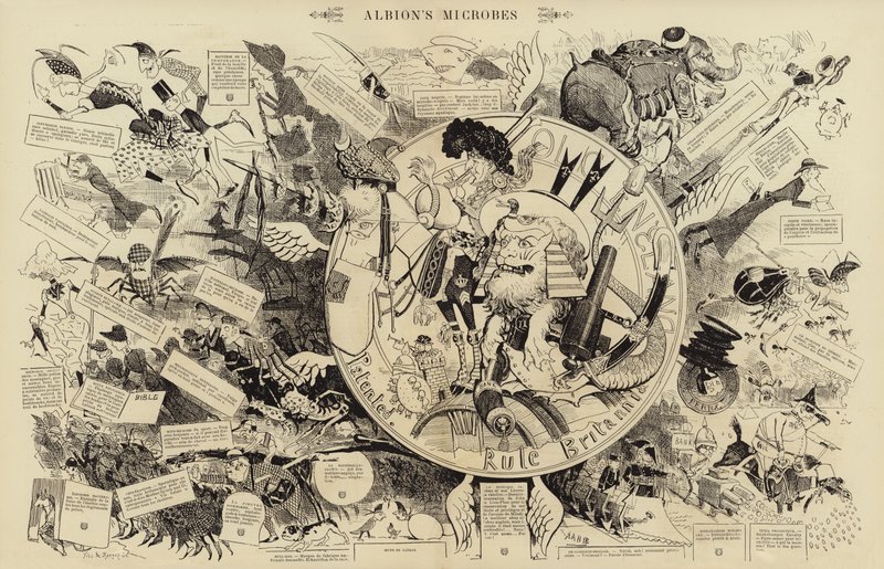 Micróbios de Albion (gravura) de French School