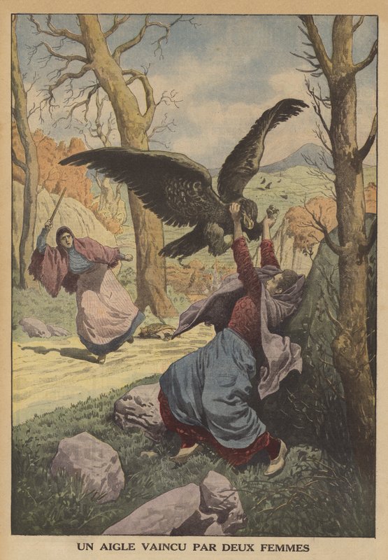 Uma águia derrotada por duas mulheres (cor litho) de French School